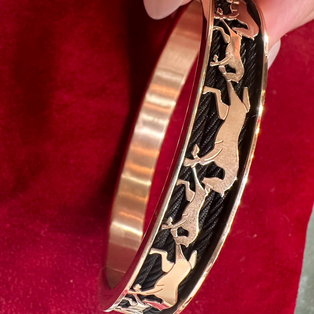 BANGLE FOREVER STALLION